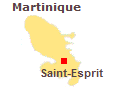 Immobilier Saint-Esprit