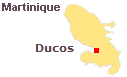 Immobilier Ducos