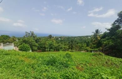 Vente Terrain 1056m&sup2; Baillif
