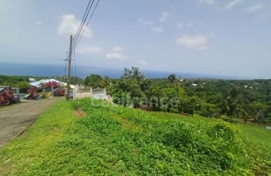 Vente Terrain 1000m&sup2; Baillif