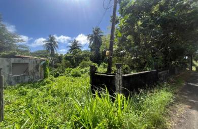 Terrains à vendre   Capesterre-Belle-Eau   82 K - 105 K