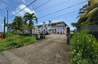 Vente Immeuble 252m² Goyave