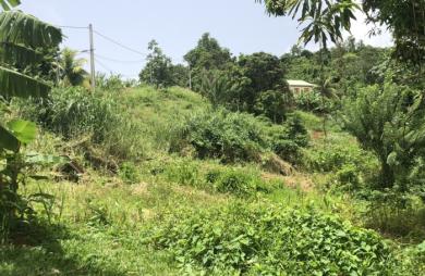 Terrain à bâtir de 709 m2 - LE FRANCOIS
