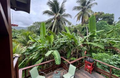 Ensemble 4 habitations + 4 piscines - Terrain 4845m2 - RIVIERE PILOTE