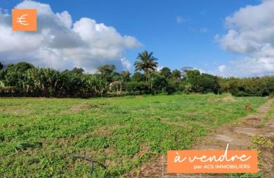 Beau terrain plat - Basse-Pointe