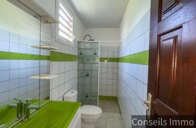 Appartement T3 à louer au François