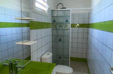 Appartement T3 à louer au François