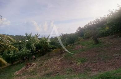 Vente Terrain 1491m² Le Morne Vert