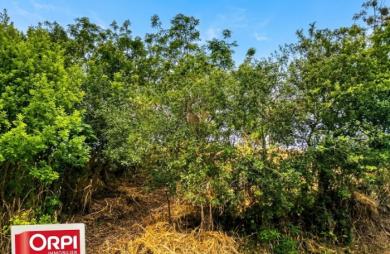 Vente Terrain 786m&sup2; La Saline les Hauts