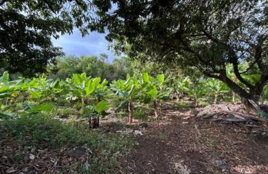 Vente Terrain 544m&sup2; Ravine des Cabris
