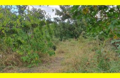 Vente Terrain 927m² Piton Saint Leu