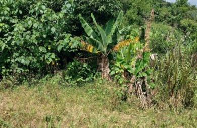 Vente Terrain Piton Saint Leu