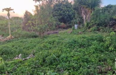 Vente Terrain 560m&sup2; Sainte Anne