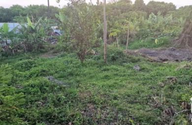 Vente Terrain 641m&sup2; Sainte Anne