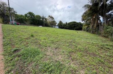 Vente Terrain 385m&sup2; Petite île