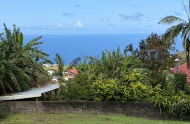 Vente Terrain 384m&sup2; Petite île
