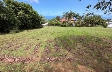 Vente Terrain 384m&sup2; Petite île