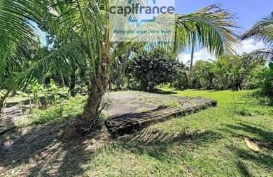 Vente Terrain 1270m&sup2; Sainte Anne