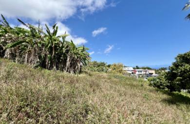 PETITE ILE 97429 - TERRAIN AVEC VUE MER - CONSTRUCTIBLE - BIEN SITUE