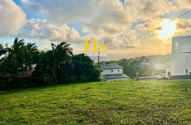 Vente Terrain Petite île