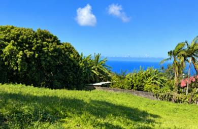 Vente Terrain Petite île