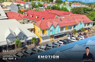 Ensemble immobilier Local + Appartement à Marigot - IDEAL INVESTISSEUR