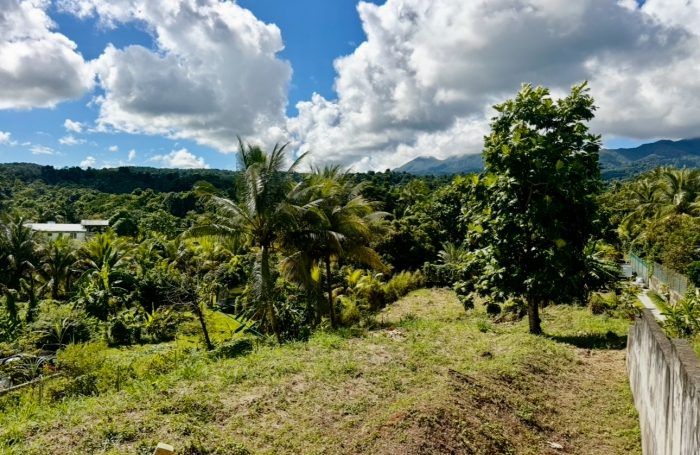Vente Terrain 97128