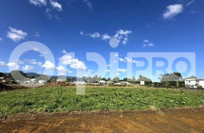 Vente Terrain 