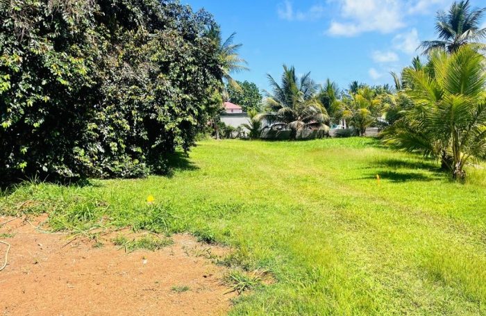 Vente Terrain 97122