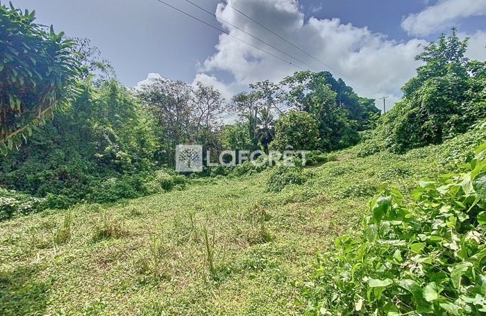 Vente Terrain 