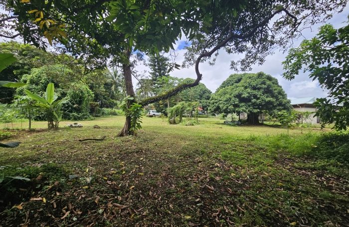 Vente Maison 97130