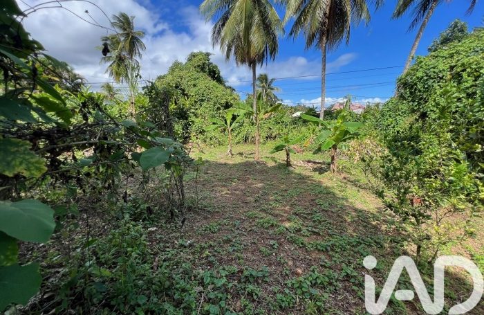 Vente Terrain 97130