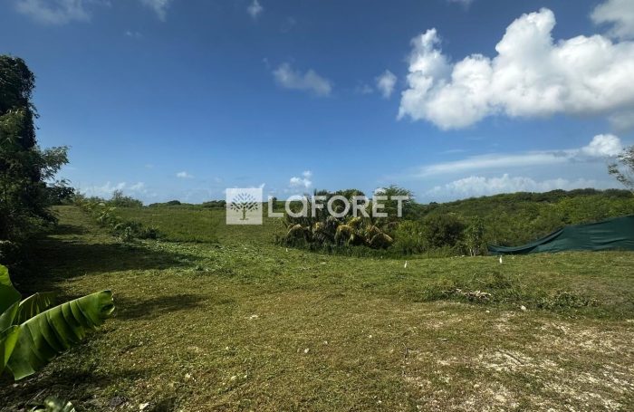 Vente Terrain 