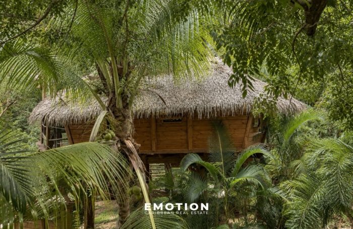 Vente Maison 97119