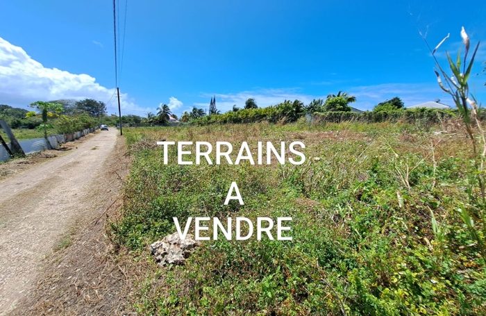 Vente Terrain 