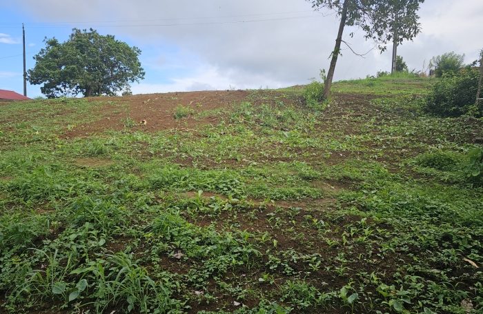 Vente Terrain 97230