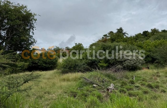 Vente Terrain 