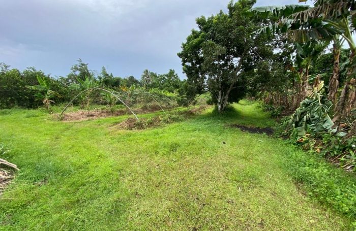 Vente Terrain 97218