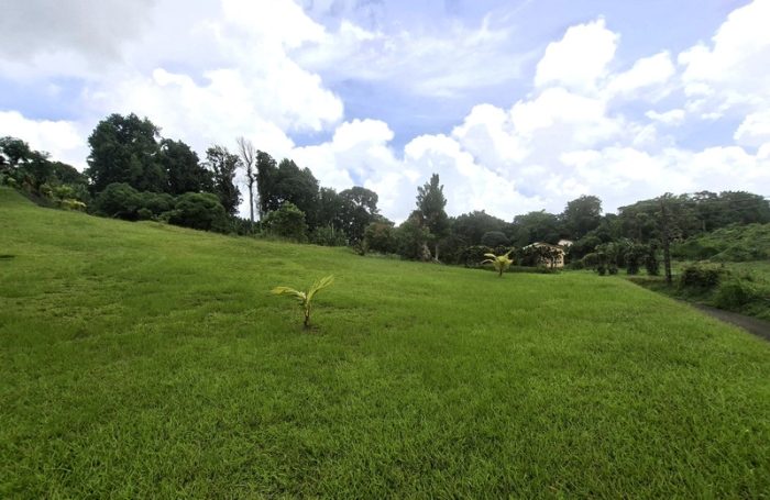 Vente Terrain 97213