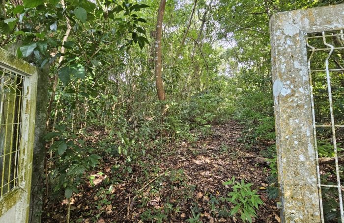 Vente Terrain 97228
