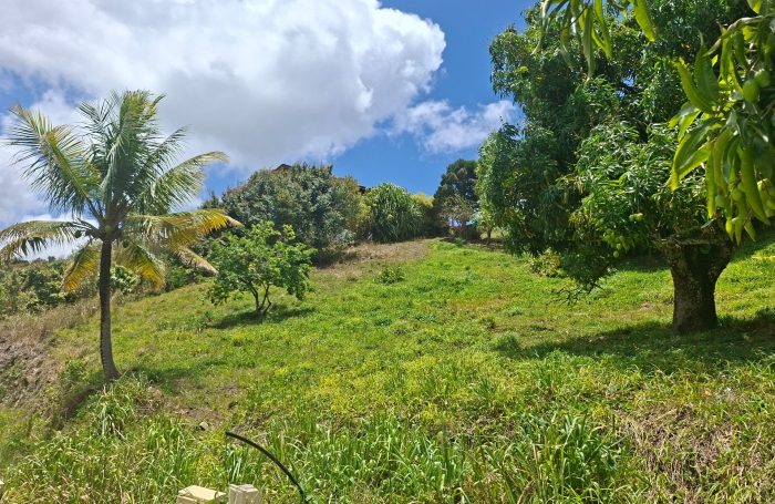 Vente Terrain 97228
