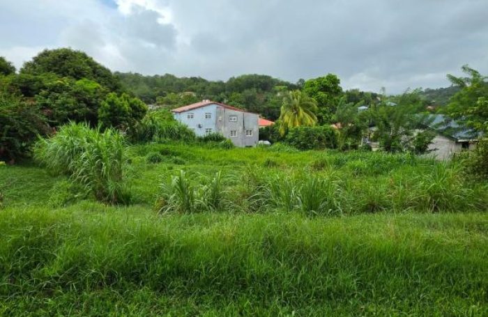 Vente Terrain 97224