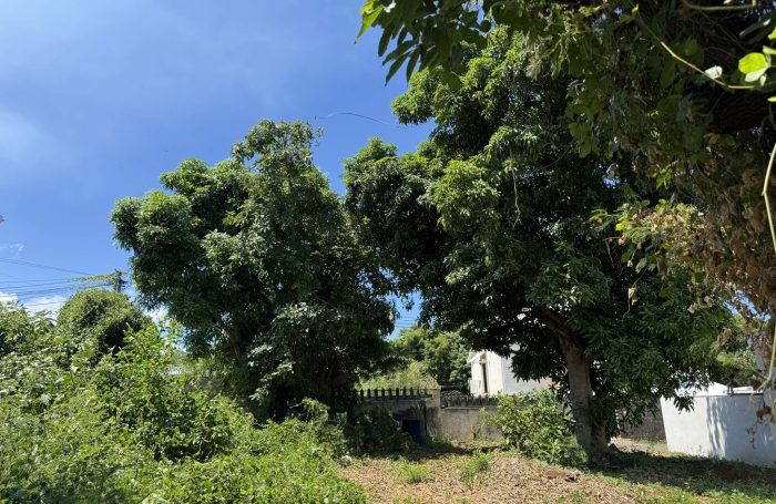 Vente Terrain 97410