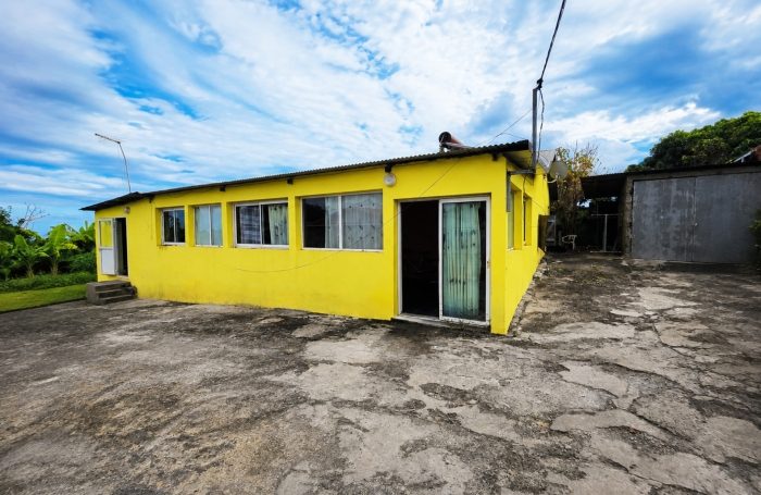 Vente Maison 97421