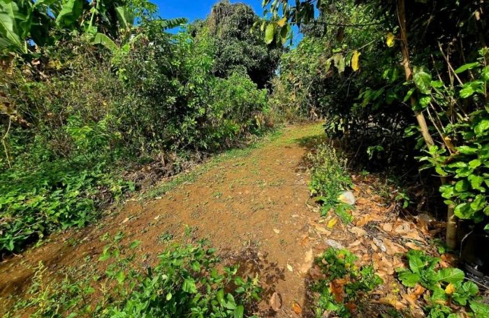 Vente Terrain 97432