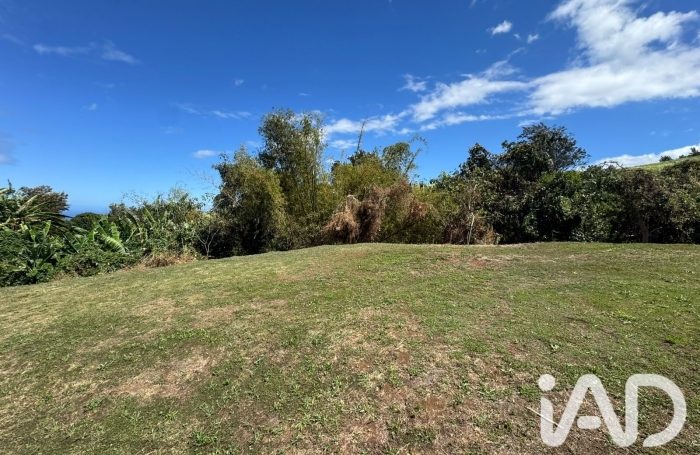 Vente Terrain 97410