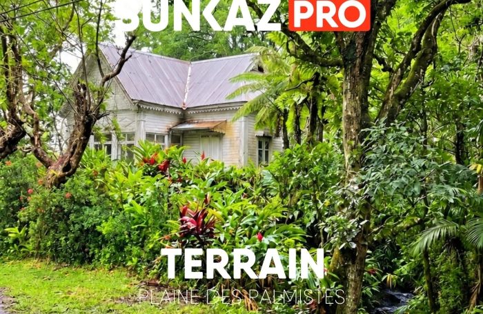 Vente Terrain 97431