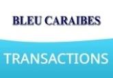 Agence Bleu Caraïbes Transaction