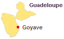 Immobilier Goyave