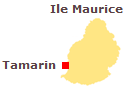 Immobilier Tamarin